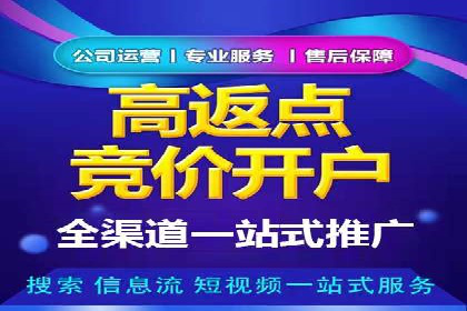 百度广告推广案例费用分析报告